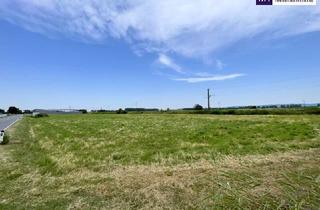 Grundstück zu kaufen in Gramatneusiedler-Straße, 2441 Mitterndorf an der Fischa, IHRE CHANCE: Betriebsgrundstück I TOP-Lage I Ideal geschnitten I Ortseinfahrt Mitterndorf/Fischa