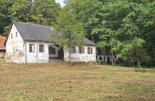 Haus kaufen in 7561 Heiligenkreuz im Lafnitztal, Die Lage...die Lage...die Lage...absolute Alleinlage im Südburgenland