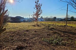 Grundstück zu kaufen in 5121 Ostermiething, Baugrund mit Ferienhaus in Ostermiething