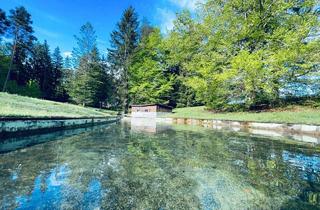 Villen zu kaufen in Winkl 50, 9184 Sankt Jakob im Rosental, Wo Träume Wurzeln schlagen – Traumhaftes Anwesen zwischen See & Berg auf 3,45 Hektar!