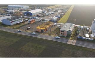 Büro zu mieten in 2301 Groß-Enzersdorf, KFZ - Werkstatt §57a - vollständig fertiggestellt