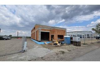 Büro zu mieten in 2301 Groß-Enzersdorf, KFZ - Werkstatt §57a - vollständig fertiggestellt