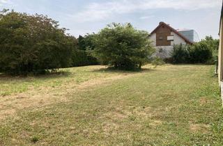 Grundstück zu kaufen in 3430 Tulln an der Donau, Außergewöhnliches Grundstück für Ihren Wohntraum in Tulln
