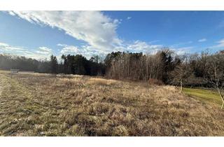 Grundstück zu kaufen in 7535 Rauchwart, Großes Baugrundstück mit Wald ohne Bauzwang