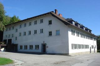 Wohnung mieten in 5101 Bergheim, HÜBSCHE 2-ZIMMER-WOHNUNG IM GRÜNEN