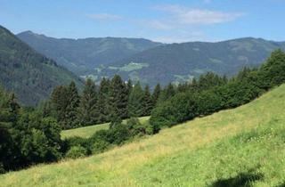 Gewerbeimmobilie kaufen in 8756 Sankt Georgen ob Judenburg, Attraktive landw. Wiesenfläche/ Weide