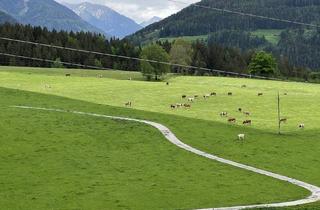 Gewerbeimmobilie kaufen in 8962 Gröbming, 13,5 ha landw. Wiesen-/ Weideflächen - hervorragend maschinell bearbeitbar
