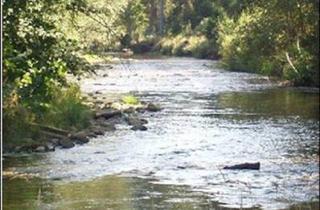 Gewerbeimmobilie kaufen in 9611 Nötsch, Angelparadies / eigenes Fischwasser