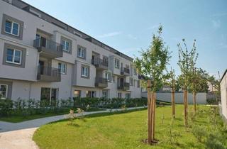 Wohnung mieten in 4600 Wels, Erstbezug - Wohnen am Park, 2,5-Zimmer-Wohnung mit Dusche in 4600 Wels Nähe Krankenhaus