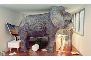 Wohnung mieten in Anton Benya-Straße 3-7, 2334 Vösendorf, PROVISIONSFREI! ANTON-BENYA-STRASSE 3-7