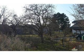 Grundstück zu kaufen in 2486 Pottendorf, Grundstück in der Gemeinde Pottendorf zu verkaufen