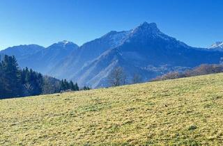 Agrarfläche kaufen in 8921 Lainbach, 10 ha Landwirtschaftliches Anwesen mit geringem Waldanteil