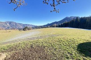 Agrarfläche kaufen in 8921 Lainbach, 10 ha Landwirtschaftliches Anwesen