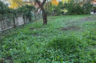 Grundstück zu kaufen in 1220 Wien, Baugrund 1220 Essling ohne Altbestand von PRIVAT