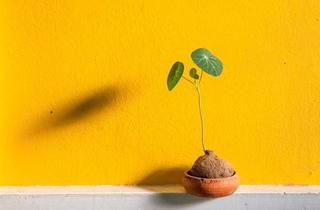 Wohnung kaufen in 6063 Rum, Cleveres Investment oder dein neues Zuhause?