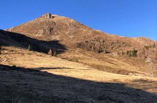 Immobilie kaufen in 9832 Stall, 5,8 ha Almgrundstück im Mölltal zu vekaufen