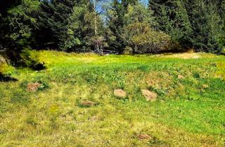 Grundstück zu kaufen in 8742 Obdach, Alpenparadies ohne Bauzwang "Erholung beginnt HIER" Baugrundstück, voll aufgeschlossen auf 1.250 Metern Seehöhe!