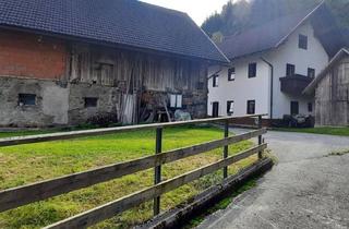 Villen zu kaufen in Hermagor Und Villach, 9613 Feistritz an der Gail, Für Naturliebhaber und Heimwerker- sanierungsbedürftiges Bauernhaus mit Nebengebäuden - zwischen Hermagor und Villach