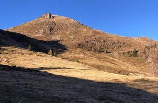 Gewerbeimmobilie kaufen in 9832 Stall, 5,8 ha Almgrundstück im Mölltal zu vekaufen