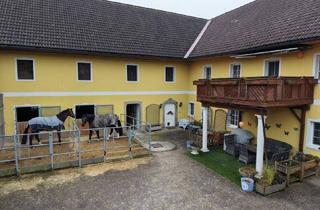 Haus kaufen in 4502 Sankt Marien, Traumhafte Reitanlage mit Wohnhaus