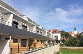 Wohnung mieten in 2352 Gumpoldskirchen, Terrassenwohnung im Herzen von Gumpoldskirchen