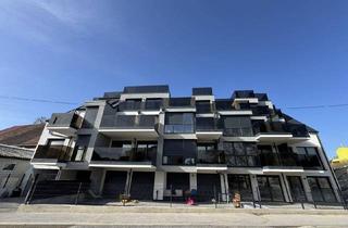 Penthouse mieten in 1220 Wien, Monthly Rental! Luxury Living! Penthouse! Skyline+Kahlenberg View! Amazing Terrace! Garage!