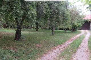 Lager kaufen in Eggenburg, 3730 Eggenburg, 3730 Engelsdorf: Lagerhalle mit Grundstück