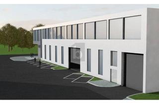 Büro zu mieten in 1230 Wien, HIGH LEVEL / HALLE UND BÜRO INDIVIDUELL PLANBAR