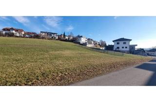 Grundstück zu kaufen in 4152 Sarleinsbach, Baugrundstücke – „Am Südhang“