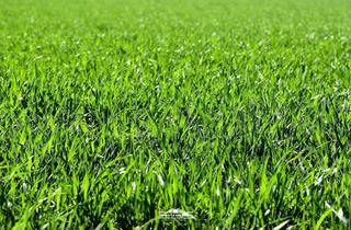 Grundstück zu kaufen in 4840 Vöcklabruck, Perfektes Grundstück für gewerbliche Nutzung