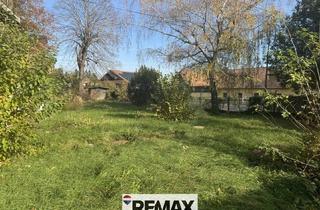 Grundstück zu kaufen in 3434 Katzelsdorf, "Wunderschönes Grundstück in Katzelsdorf"