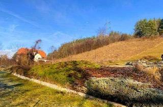 Grundstück zu kaufen in 2630 Pottschach, Ruhig, grün und sonnig! Schöner Baugrund!