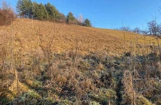 Grundstück zu kaufen in 2630 Pottschach, Für Naturliebhaber und Sonnenanbeter!