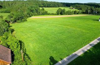 Grundstück zu kaufen in Untere Mölten, 8045 Weinitzen, NUR NOCH 2 VERFÜGBAR! WUNDERVOLL! HIER KÖNNTE IHR TRAUM-HAUS STEHEN! Leben im idyllischen Umland nur 5 Minuten von Graz entfernt! Geheimtipp für das perfekte Eigenheim!