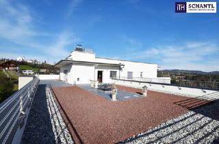 Penthouse mieten in Reiteregg, 8151 Hitzendorf, Einzigartiges PENTHOUSE in den Weinbergen - Ein EXKLUSIVES REFUGIUM mit unvergleichlichem PANORAMA - in Reiteregg/St. Bartholomä - West-Steiermark! Provisionsfrei! Sofort verfügbar!