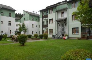 Wohnung mieten in Waldpoint, 4850 Timelkam, 3-Zimmerwohnung in 4850 Timelkam, Waldpoint 3, Top 81