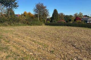 Grundstück zu kaufen in 4861 Aurach am Hongar, Schönes Baugrundstück in Aurach am Hongar, wenige KM vom Attersee.