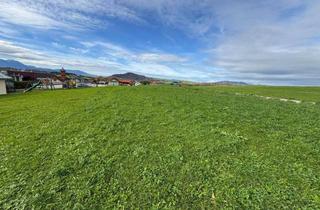 Grundstück zu kaufen in 5300 Hallwang, Familienfreundliches Baugrundstück nahe Salzburg