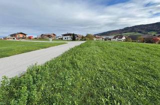 Grundstück zu kaufen in 5300 Hallwang, Attraktives Baugrundstück in Hallwang – stadtnah & ruhig