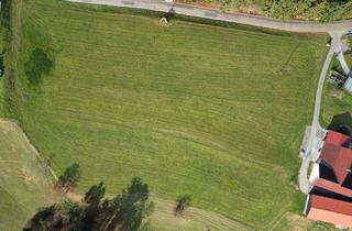 Grundstück zu kaufen in Oisnitz, 8503 Sankt Josef (Weststeiermark), Wunderbares Grundstück in Prach-Sonnen-Lage von ca. 5.000m² Gesamtfläche!!! Oisnitz / St. Josef - Nähe Lannach