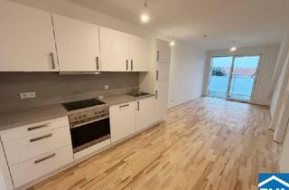 Wohnung mieten in Minciostraße, 1150 Wien, Urbanes Leben und Wohnkomfort - Pärchenhit an der Schmelz