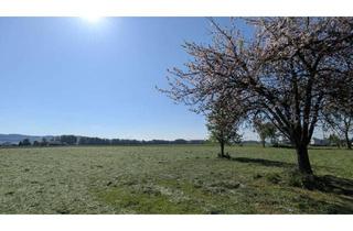 Grundstück zu kaufen in 5223 Pfaffstätt, Grundstück in Traumlage - Pfaffstätt / Mattighofen