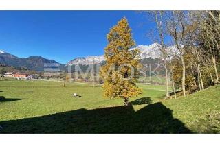 Grundstück zu kaufen in 8960 Niederöblarn, ABSOLUT LEISTBARER BAUGRUND IM ENNSTAL