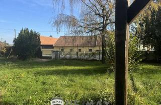 Grundstück zu kaufen in 3434 Katzelsdorf, "Wunderschönes Grundstück in Katzelsdorf"