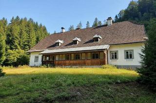 Haus mieten in 8924 Wildalpen, BAURECHT - WOHNHAUS IN DEN WILDALPEN