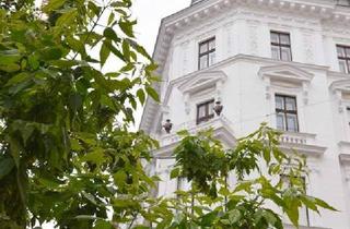 Wohnung kaufen in Schellinggasse, 1010 Wien, Ein JUWEL im Zentrum Wiens – Stil, Luxus und Lage in Perfektion