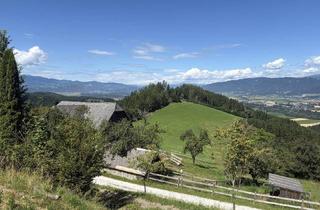 Gewerbeimmobilie kaufen in 8720 Apfelberg, 10 ha Reiterhof mit Reitplatz und Panoramalage