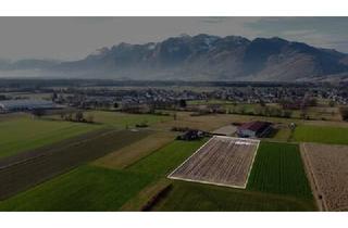 Grundstück zu kaufen in 6830 Rankweil, Landwirtschaftliche Fläche in Rankweil-Brederis