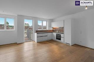 Wohnung kaufen in Pilgramgasse, 1050 Wien, U4 Pilgramgasse ums Eck! Lichtdurchflutete Dachgeschosswohnung mit hofseitiger Terrasse + ausgezeichnete Infrastruktur! TOP-Investment in einer TOP-Gegend! Jetzt zugreifen!