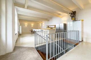 Loft kaufen in Auf der Schmelz, 1150 Wien, EINZIGARTIGES LOFT - ideal angelegtes Atelier